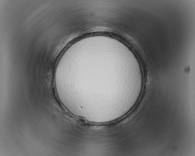 X0000112761313200909171240