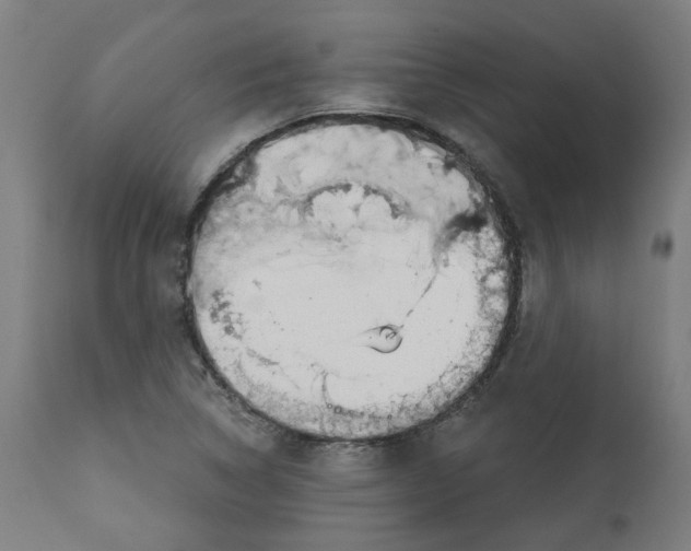 X0000112761314200909171240
