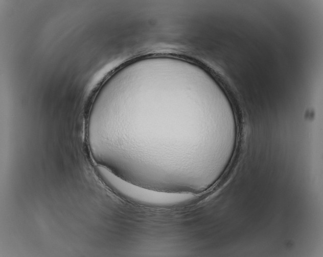 X0000112761317200909171240