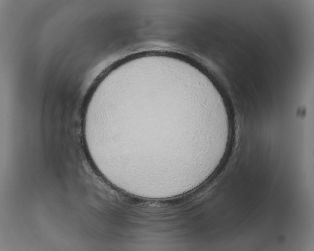 X0000112761318200909171240