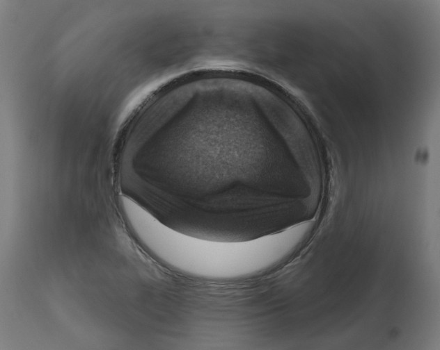 X0000112761319200909171240