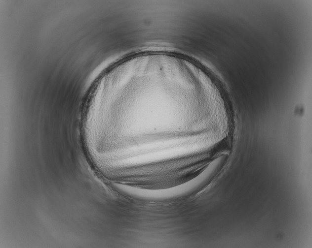 X0000112761325200909171240