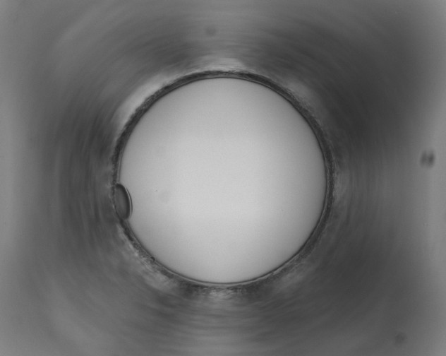 X0000112761326200909171240
