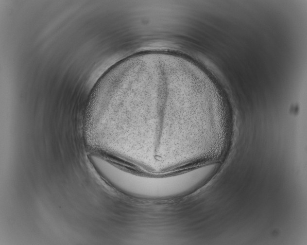 X0000112761329200909171240