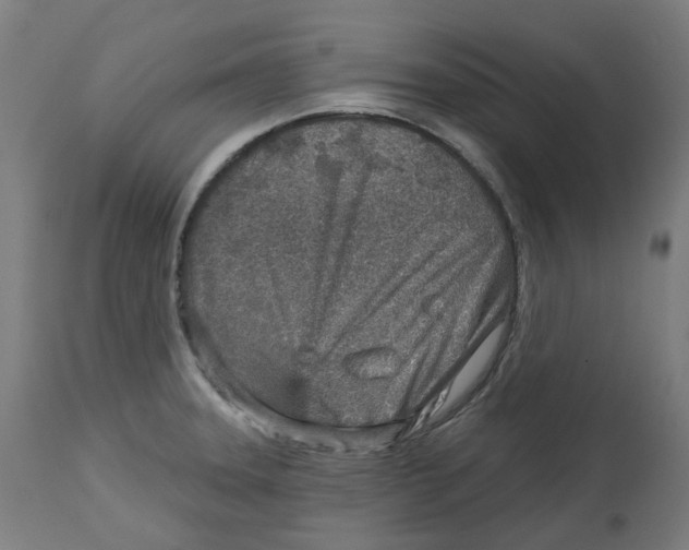 X0000112761331200909171241