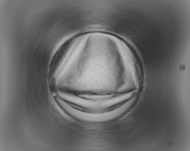 X0000112761333200909171241