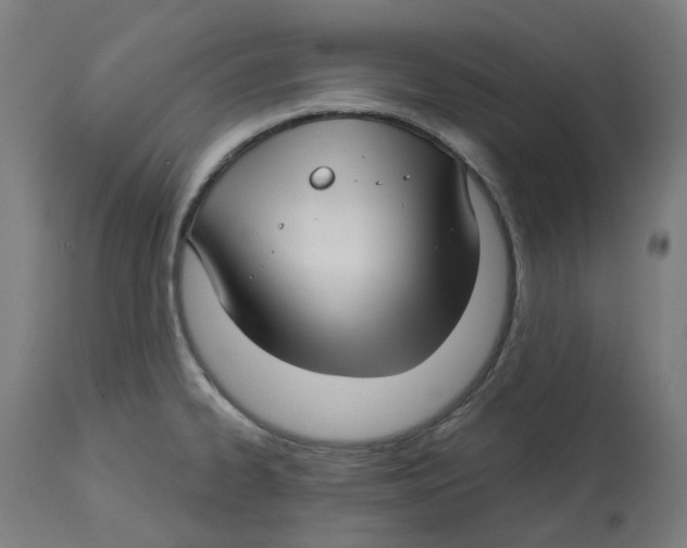 X0000112761334200909171241