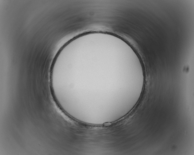 X0000112761335200909171241