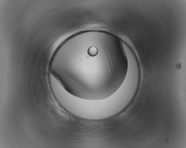 X0000112761336200909171241