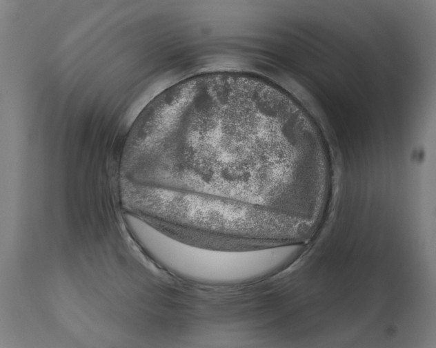 X0000112761337200909171241