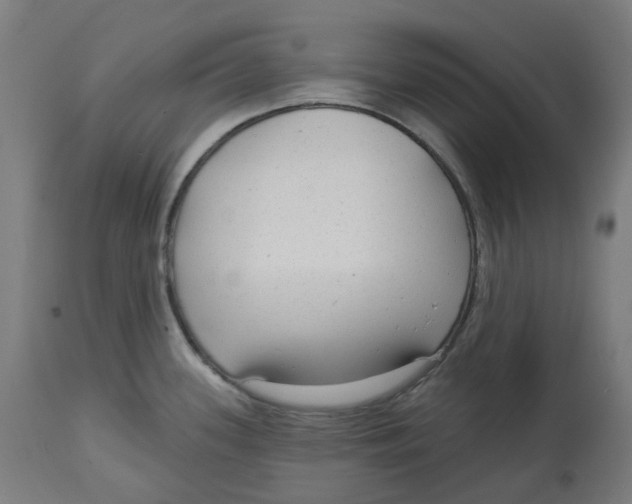 X0000112761339200909171241