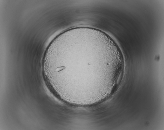 X0000112761341200909171241