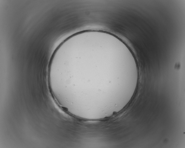 X0000112761343200909171241