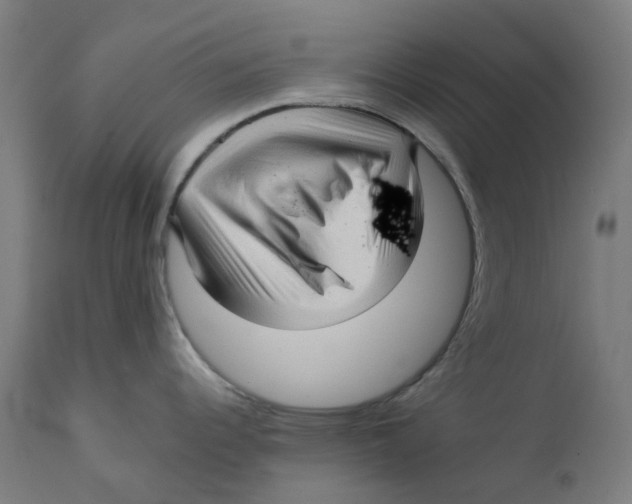 X0000112761344200909171241