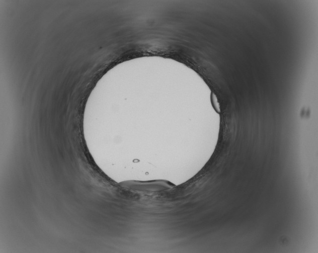 X0000112761345200909171240