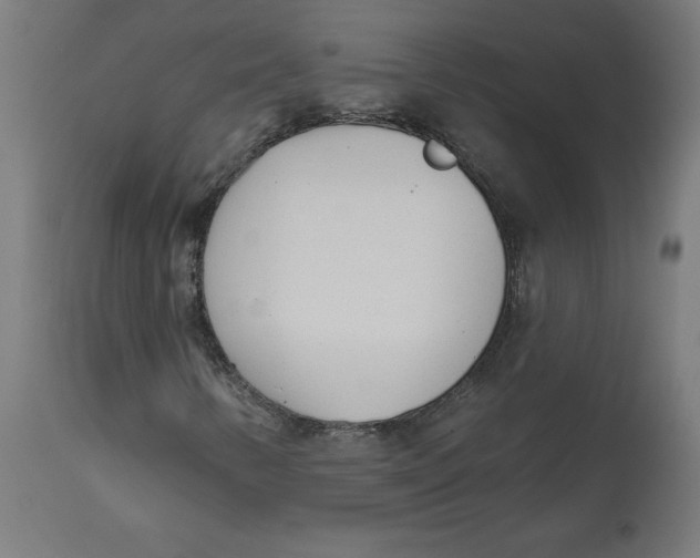 X0000112761346200909171240