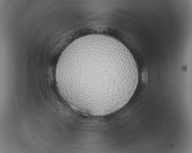 X0000112761347200909171240