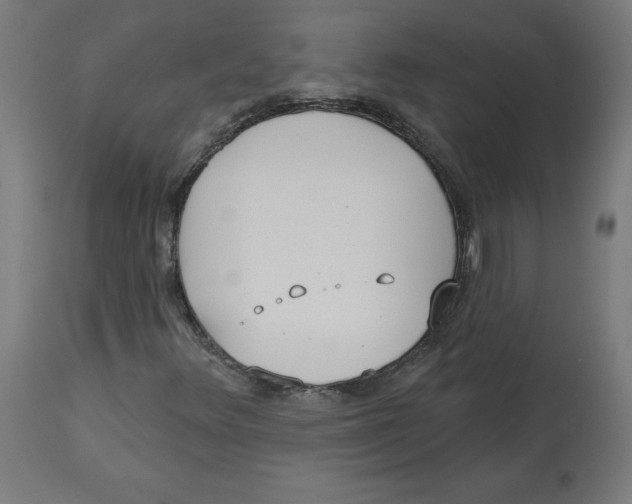 X0000112761348200909171240