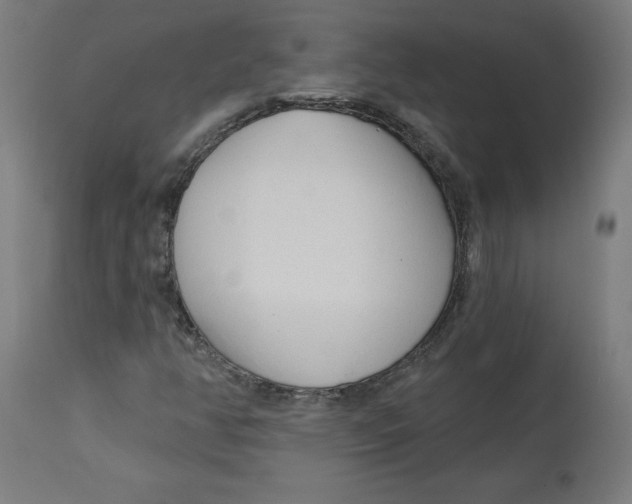 X0000112761350200909171240
