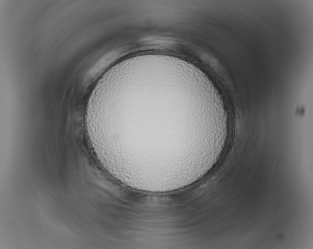 X0000112761354200909171240