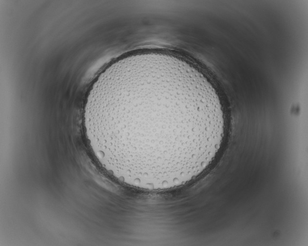 X0000112761355200909171240