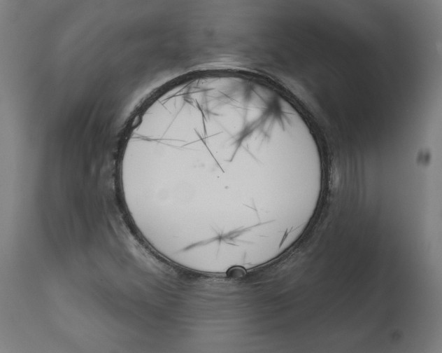 X0000112761356200909171240