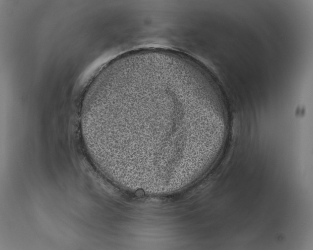 X0000112761359200909171240
