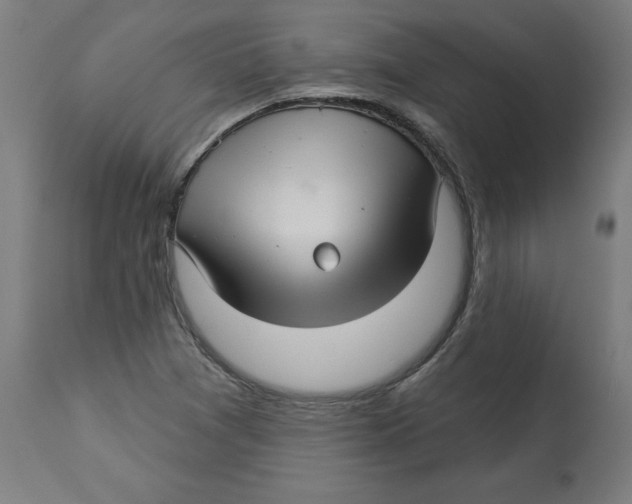 X0000112761361200909171240