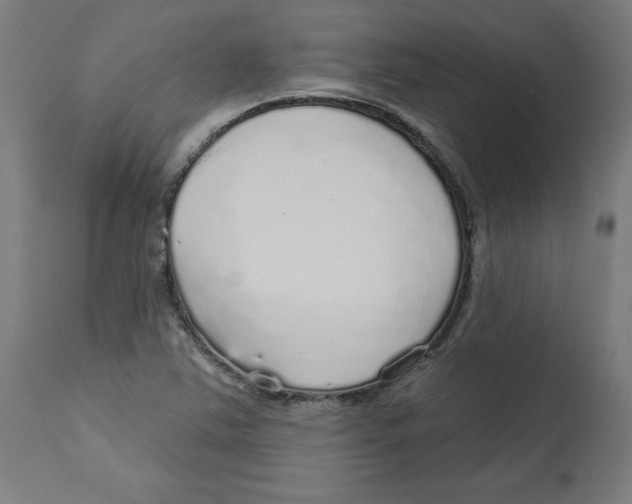 X0000112761363200909171240