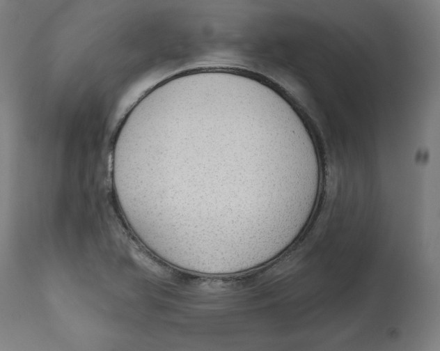 X0000112761366200909171240