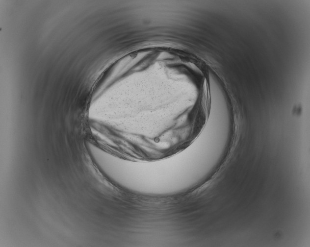 X0000112761369200909171240