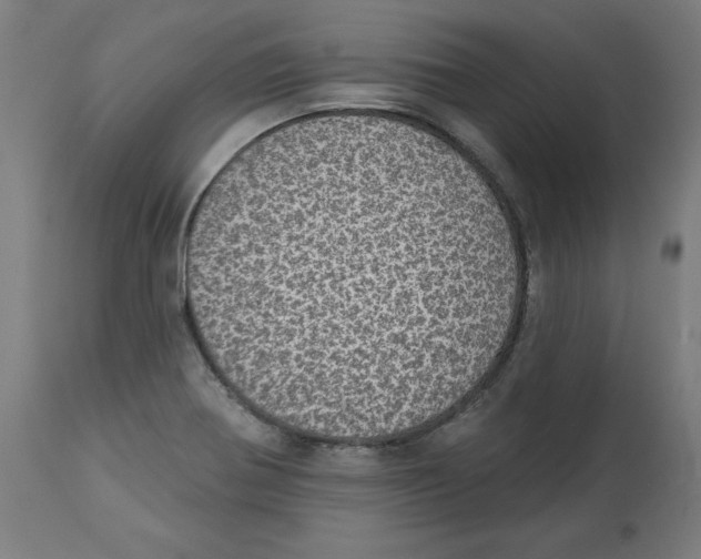 X0000112761370200909171240