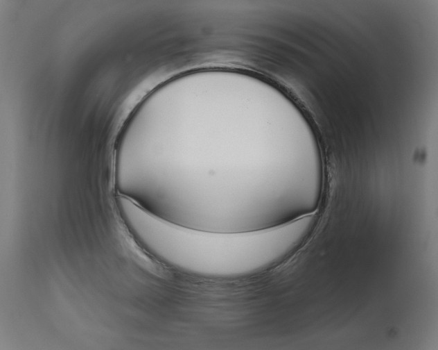 X0000112761371200909171240