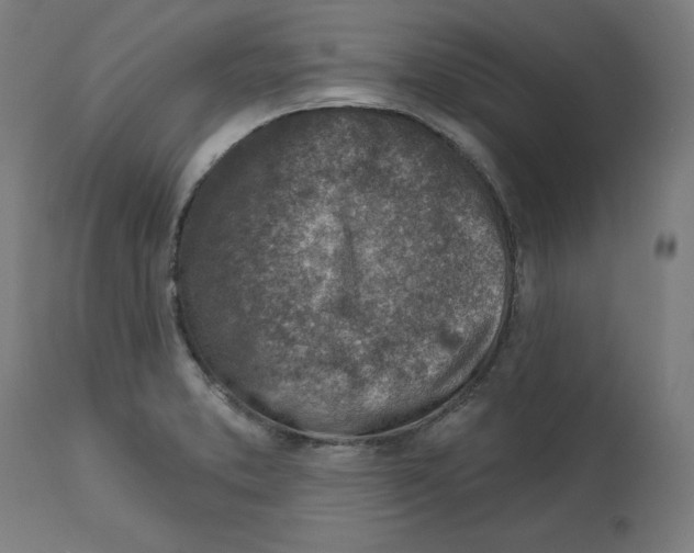 X0000112761373200909171240