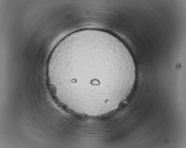 X0000112761375200909171240