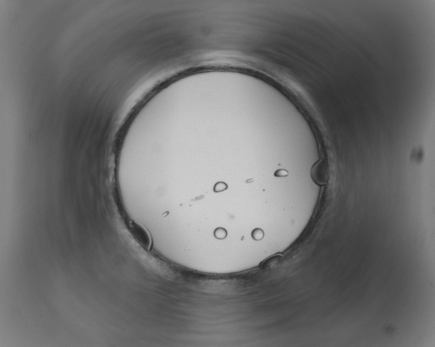 X0000112761376200909171240