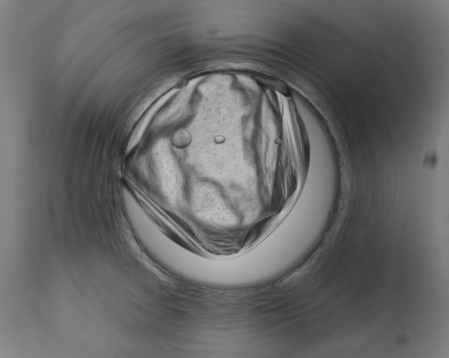 X0000112761377200909171240