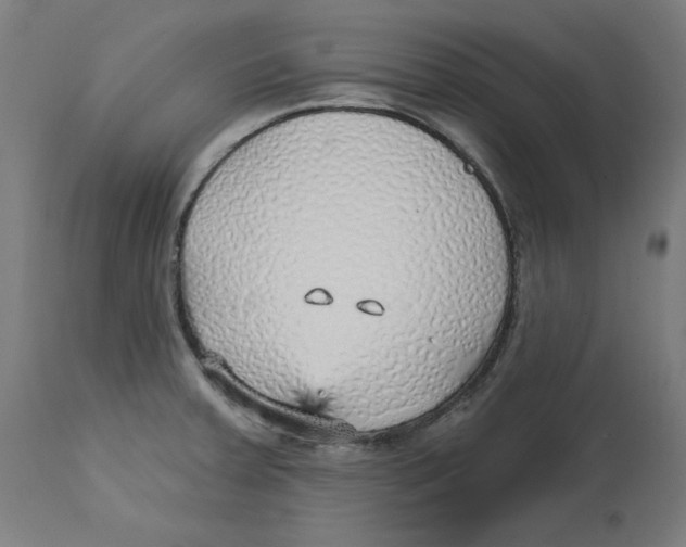 X0000112761379200909171240