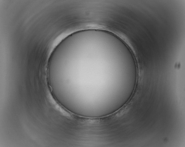 X0000112761381200909171240