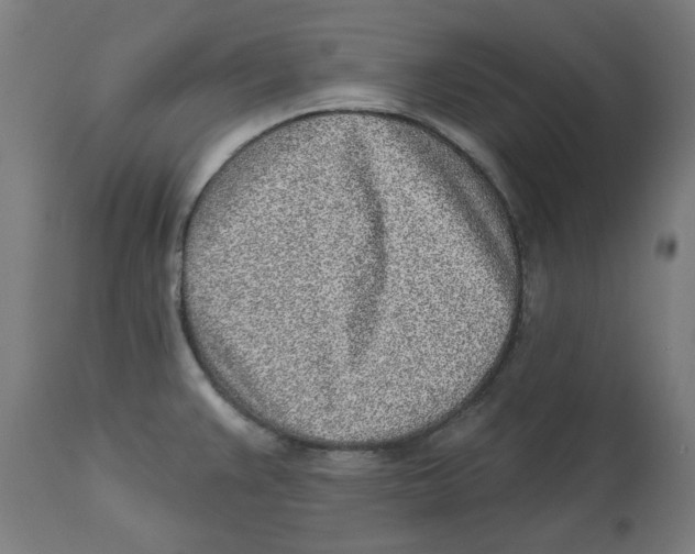 X0000112761383200909171240