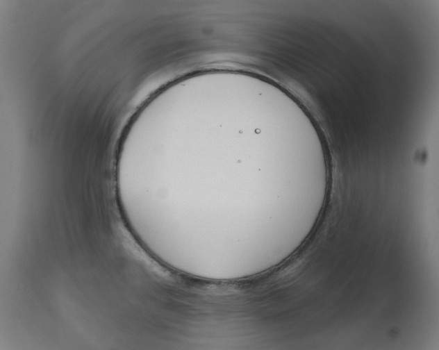 X0000112761384200909171239