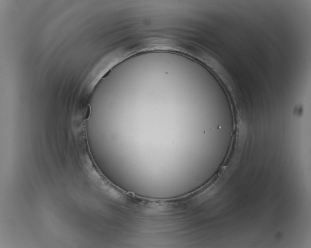 X0000112761385200909171239