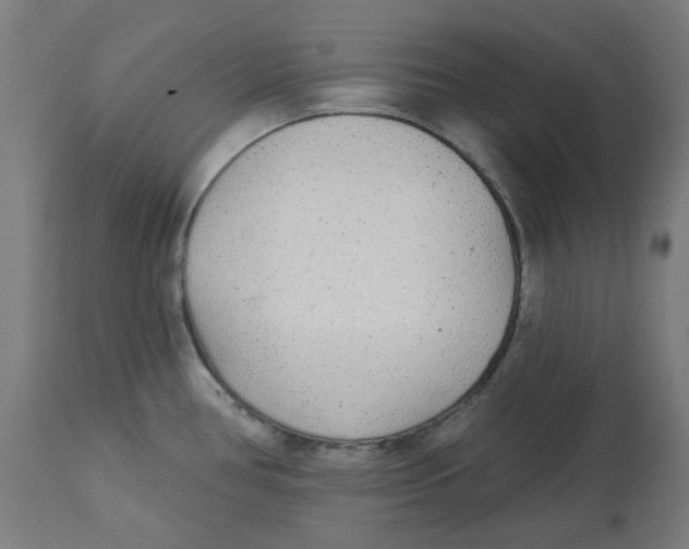 X0000112761386200909171239