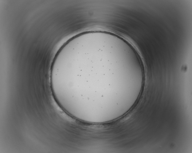 X0000112761388200909171239