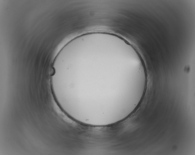 X0000112761390200909171239