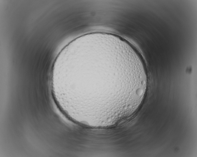 X0000112761391200909171239