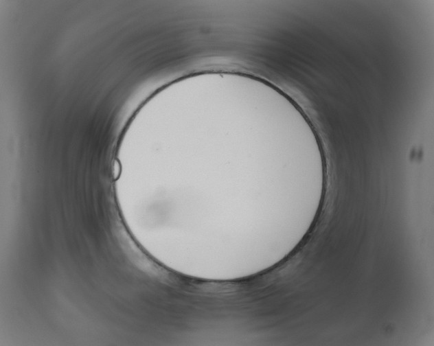 X0000112761392200909171239