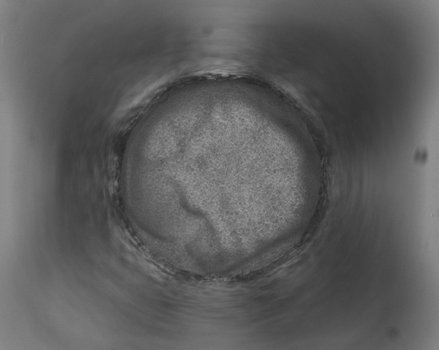 X0000112761399200909171239