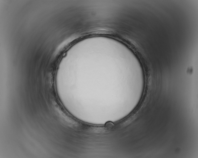 X0000112761402200909171239