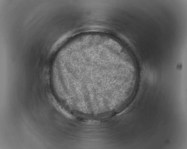 X0000112761403200909171239